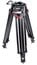 Sachtler 5590 Speed-Lock CF HD Carbon Fiber 2-Stage Heavy-Duty Tripod Legs, 100mm Bowl Image 1