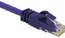 Cables To Go 27800 Patch Cable, 1ft Purple Cat6 Image 1