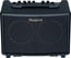 Roland AC-33 Acoustic Amplifier 30W 2-Channel 2X5" Portable Acoustic Amp Image 1