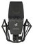 SE Electronics sE4400a Multi-Pattern Condenser Microphone Image 1