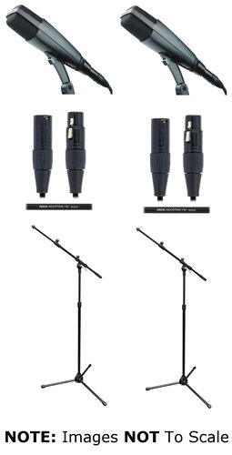 Sennheiser MD421 II Duo Exclusive Bundle With Stands And Cables