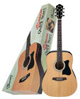 Ibanez IJV50 Jam Pack Solid Top Acoustic Jam Pack Acoustic Guitar Package