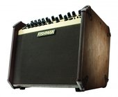 Fishman Loudbox Artist 2-Ch 120W Acoustic Guitar Amplifier