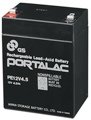 MIPRO D5741 Replacement Rechargable 12V Battery
