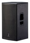 DAS ACTION-15 15" 2-way Mulitpurpose Speaker