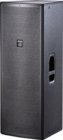 DAS ACTION-215 Dual 15" 2-Way Speaker