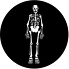 Rosco 77557 Steel Gobo, Skeleton