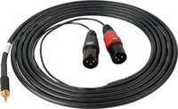 Sescom SES-IPOD-XLRM10 3.5mm to 2 XLR Male Y Cable, 10ft