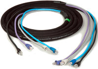 Laird Digital Cinema CES-RJ45-100  4-Channel RJ45 CAT5e Tactical Ethernet Snake Cable, 100ft