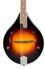 The Loar LM-220-VS Performer Series Gloss Vintage Sunburst A-Style Mandolin with Hand-Carved Top