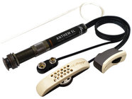 LR Baggs ANTHEM-SL, Guitars