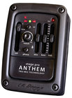 LR Baggs Stagepro Anthem Internal TruMic System with Tuner