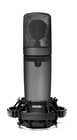 Miktek Audio CV3-MIKTEK Large Diaphragm Multi-Pattern Tube Condenser Microphone