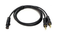 Cable Techniques RX-TRSBL2 24" RX Emergency Two Cables for Sennheiser EK2000 or EK500 G2