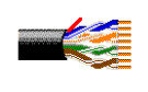 Belden 2412-1000-WHITE 1000' Multi-Conductor Enhanced Cat6 Nonbonded-Pair Cable in White
