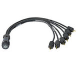 Lex EGBI100-3-515 3' Break-In Female LSC19 to Male NEMA 5-15 Cable