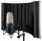 CAD Audio AS22 Foldable Stand-Mounted Acoustic Enclosure