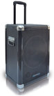 Technical Pro WASP12SUB WASPsub12 12" 1000W Peak Portable Subwoofer PA System with Rechargeable Battery