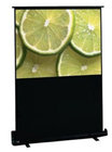 Draper 230139 94" Traveller Portable Projection Screen with Matt White Surface