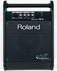 Roland PM10