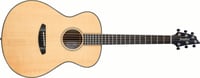 Breedlove OR-CONCERT