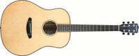 Breedlove OR-DREAD