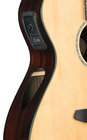 Breedlove SOLO-CONCERT
