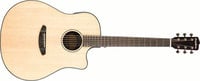Breedlove SOLO-DREAD