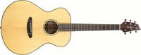 Breedlove DISC-CONCRT