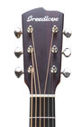 Breedlove DISC-DREAD