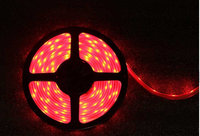 Blizzard KOMPLY-5050-RGB-HP 5-Meter RGB 12v LED Ribbon Roll, 60 LEDs Per Meter