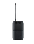 Shure BLX1-H9, Microphones