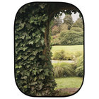 Lastolite LB5742 5ft x7ft Evenig/Ivy Perspective Background