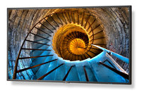 NEC P484 48" Professional-Grade Large Format Display for Digital Signage