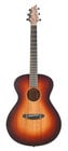 Breedlove USA-CONCRT-FIRE-LHTE