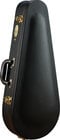 Breedlove BHC-M Deluxe Hardshell Mandolin Case for K, F, and O Shape Mandolins