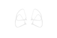 DJI CP.PT.000599 Propeller Guards for Phantom 4 Quadcopter (Set of 4)