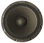 Fishman 340-000-019 Speaker for Loudbox 100, Artist, and Performer