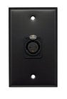 Whirlwind WP1B/1FNS Single Gang Wallplate with XLRF Connector, Black