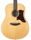 Breedlove Discovery Dreadnought Acoustic Guitar