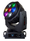 Blizzard STILETTO-BEAS-RST-01