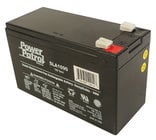 Interstate Battery DSL1079 SLA250 12V 9AH Battery