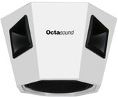 Octasound SP810A Central Speaker System: 10" Woofer, 4x 6"x6" Compression Horn/Drivers