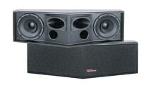 Apogee Sound 100-2110W AE-2S2 Wide Angle Speaker
