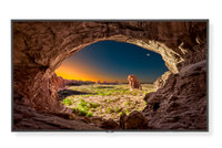 NEC V554 55" Commercial Grade Display with Built-In Media Player