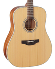 Takamine GD20 Dreadnought-Style Acoustic Guitar