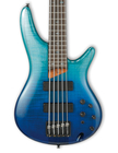 Ibanez SR875, Bass Guitars