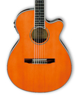Ibanez AEG10NII AEG Series Classical Acoustic/Electric Guitar