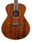 Breedlove STAGE-CONCERT-2