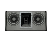 Electro-Voice FRI-28LPM-BLK Dual 8" Low Profile Floor Monitor Speaker